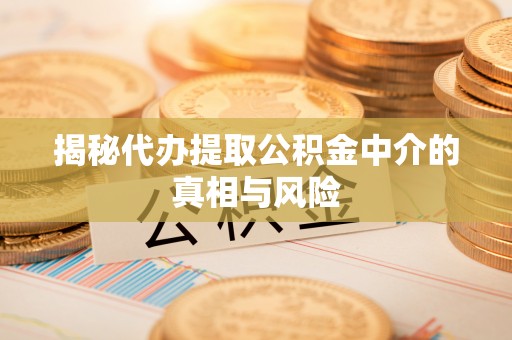 巨野揭秘代办提取公积金中介的真相与风险