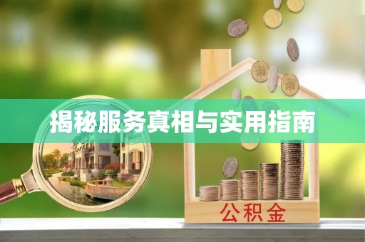巨野揭秘服务真相与实用指南