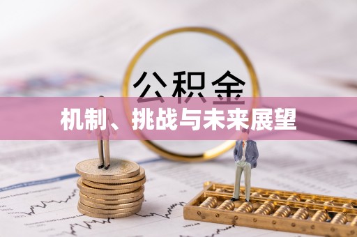 巨野机制、挑战与未来展望